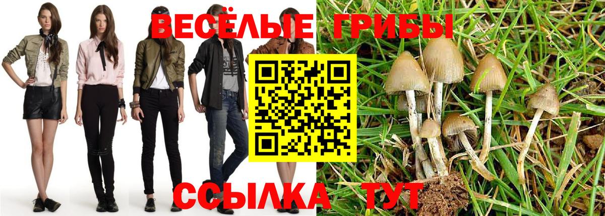 Псилоцибиновые грибы MAGIC MUSHROOMS  Вход с VPN  Псилоцибиновые грибы GOLDEN TEACHER  Краснокаменск 